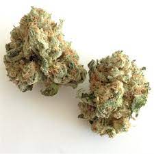 Buy White Widow Weed Strain – Hybrid Online in Dubai UAE